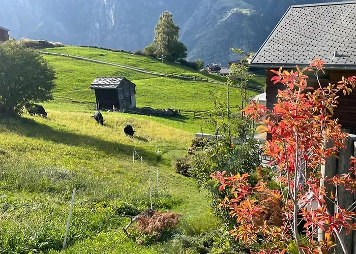 Sera Apartmán *